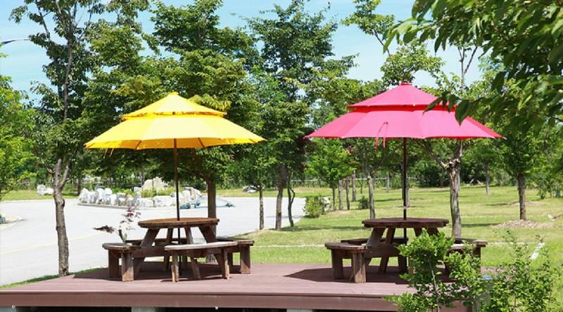 고성 송정마을 수목화 오토캠핑장 (Goseong Songjeong Village Tree Flower Auto Camping Site)