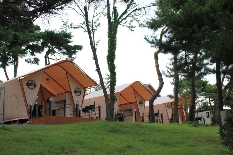 완주 주노글램핑 완주점 (Wanju Juno Glamping Wanju)