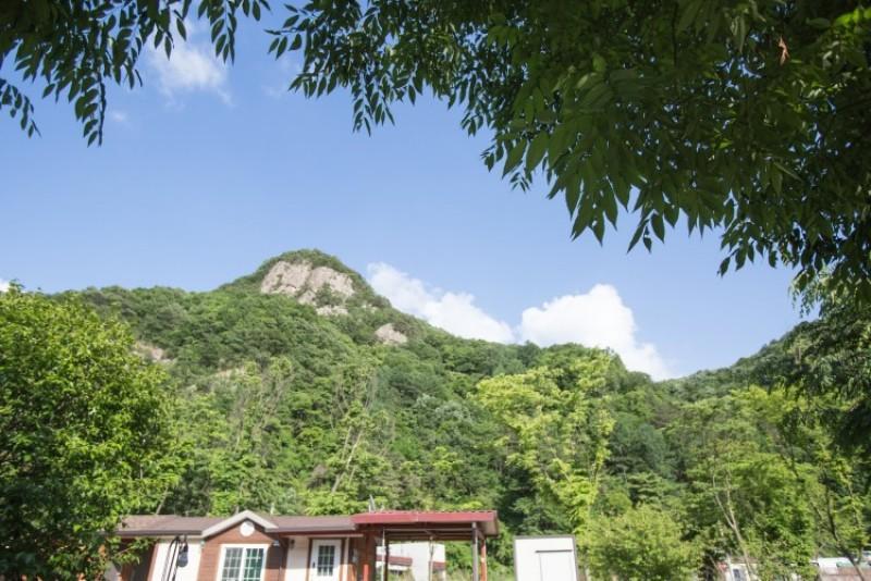 완주 숲속의정원펜션 (Wanju Forest Garden Pension)