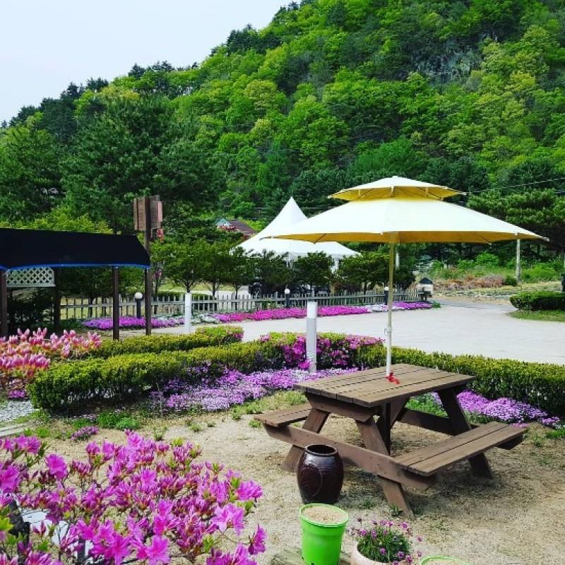 평창 강애산애펜션(휘닉스파크 차량 10분) (Pyeongchang Gangaesanae Pension)