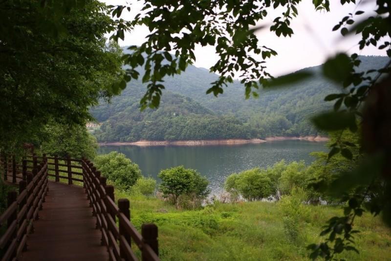 영주 산수방펜션 (Yeongju Sansubang Pension)