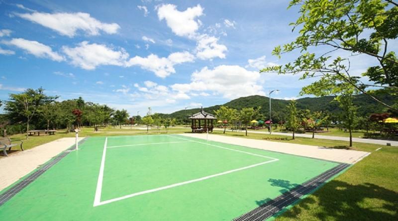 고성 송정마을 수목화 오토캠핑장 (Goseong Songjeong Village Tree Flower Auto Camping Site)