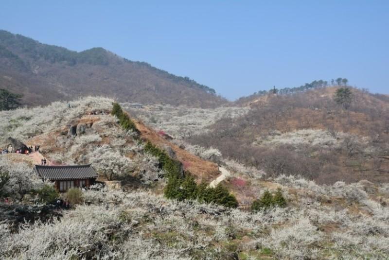 광양 플럼블라썸풀빌라&펜션 (Gwangyang Plum Blossom Pool Villa & Pension)