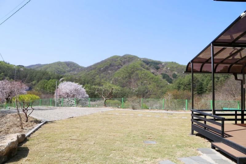 양평 숲속반딧불펜션 (Yangpyeong Forest Firefly Pension)