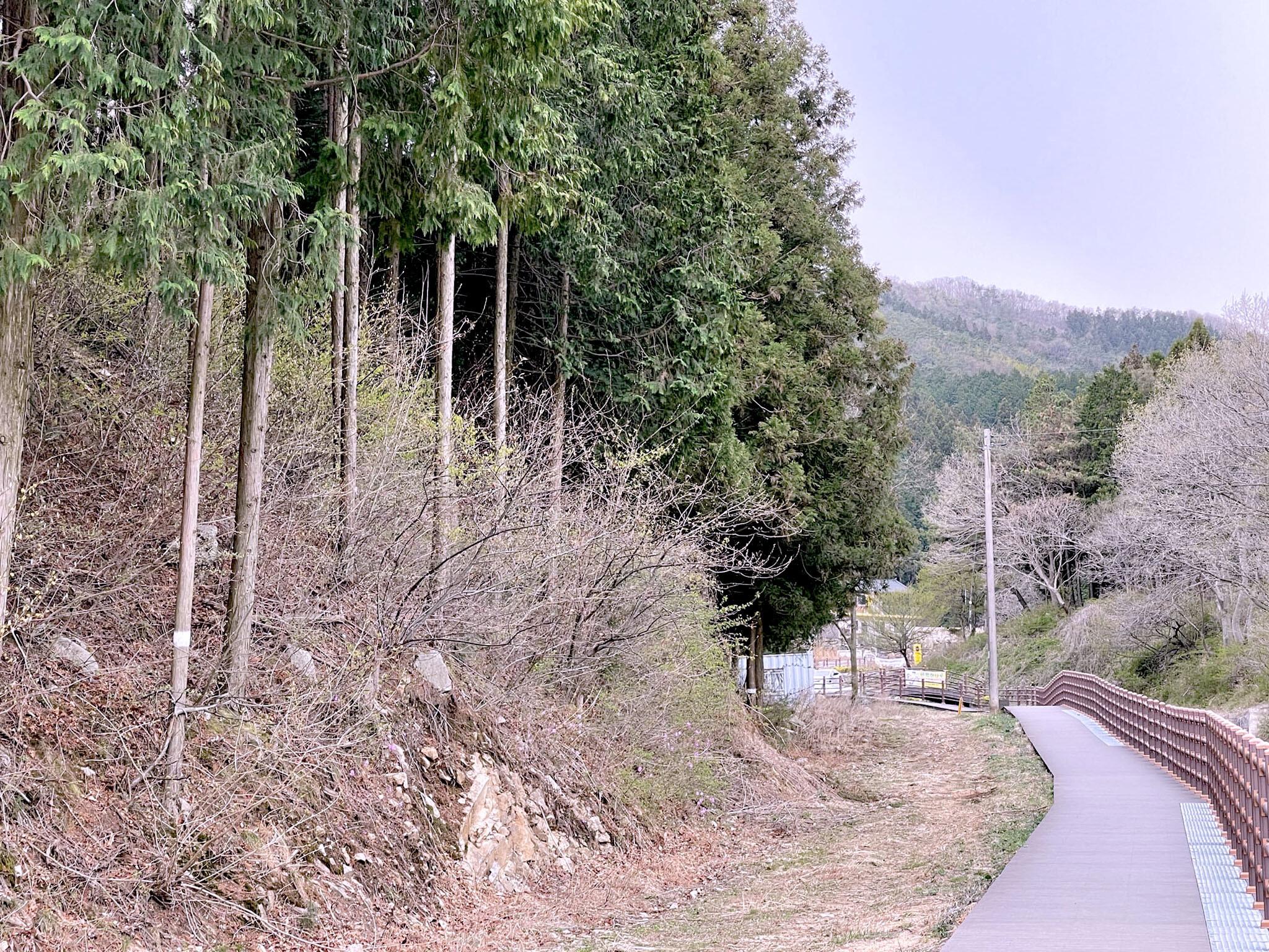 축령산 황토 편백 펜션 (jeonrajangseung chukryeongsan hwangtopyeonbaek pension)