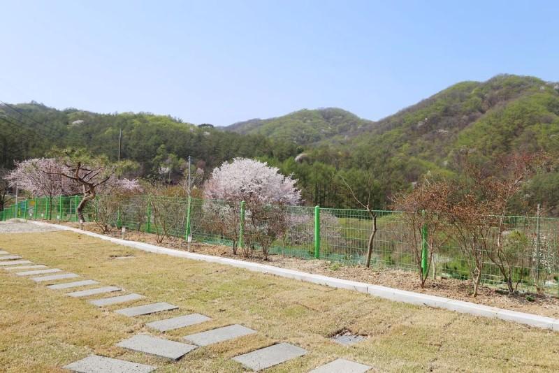 양평 숲속반딧불펜션 (Yangpyeong Forest Firefly Pension)