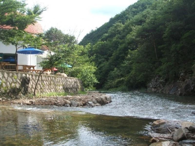 보은 속리산천왕봉가는길에펜션 (Boeun Songnisan Way to Cheonwangbong Pension)