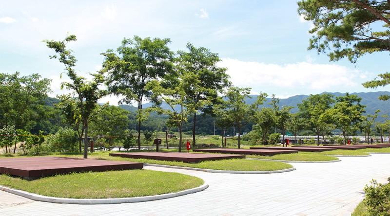 고성 송정마을 수목화 오토캠핑장 (Goseong Songjeong Village Tree Flower Auto Camping Site)