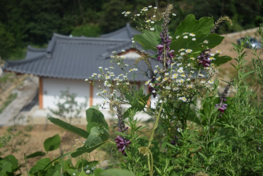 김천 한솔 한옥스테이 (Gimcheon Hansol Hanok Stay)