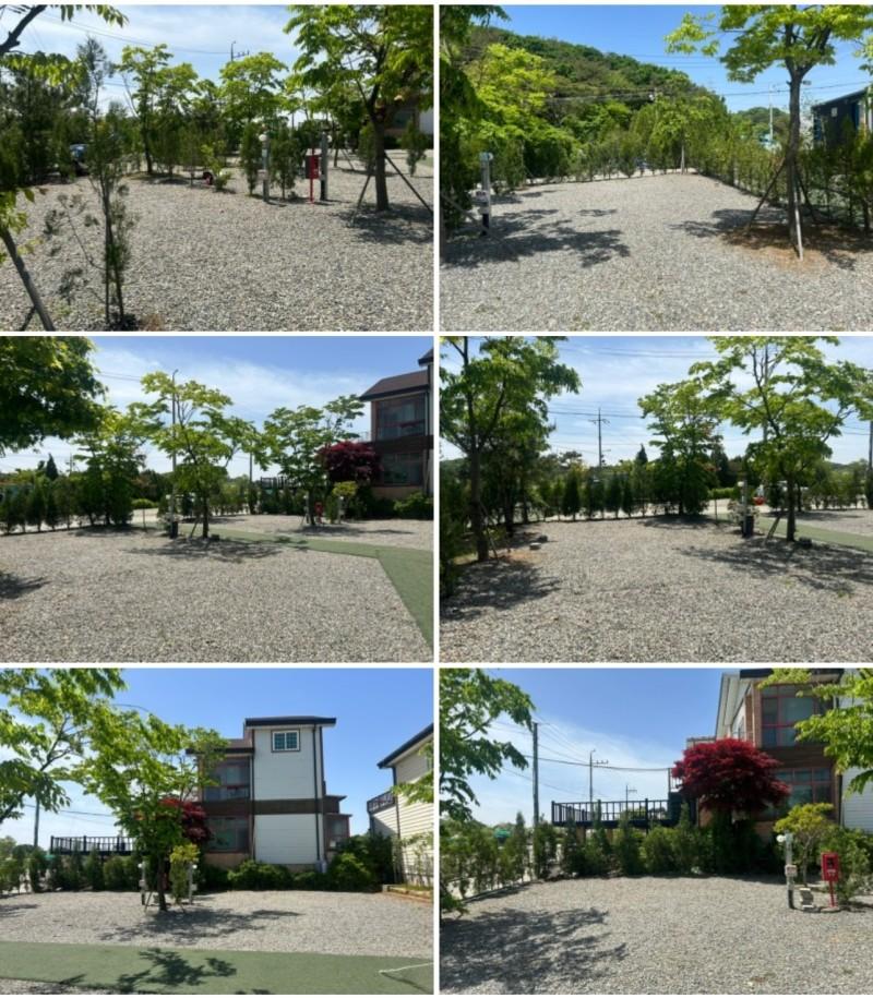 대부도 푸른섬캠핑장 (Daebudo Blue Island Camping Site)