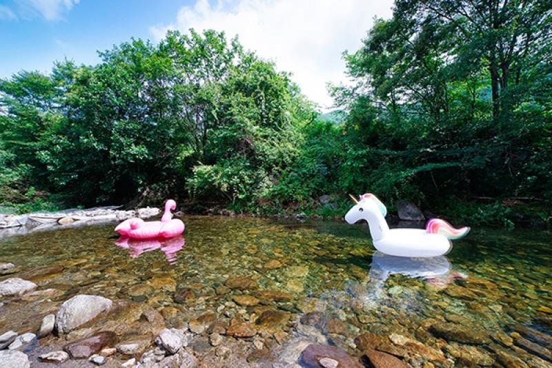 단양 숲속시골길펜션 (Country road pension in Danyang forest)