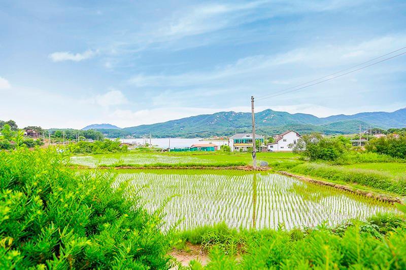 강화도 마음의정원펜션 (Ganghwado Maeumui Jeongwon Pension)