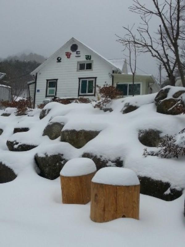 강릉 오랍드리펜션 (Gangneung Orabdry Pension)