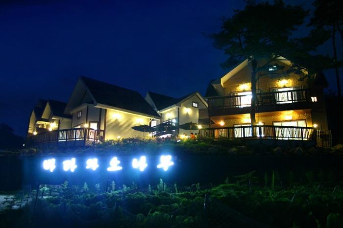Sea and Pine Pension