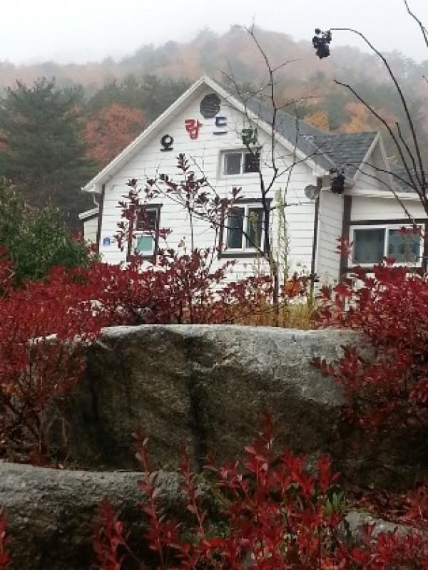 강릉 오랍드리펜션 (Gangneung Orabdry Pension)
