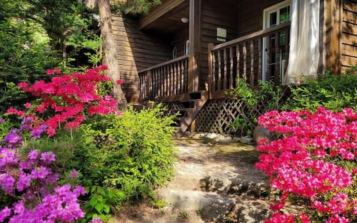 괴산 작은새재 펜션 (Goesan Jakeun Saejae Pension)