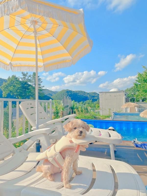 청주 오카맨션 (Cheongju Oka Mansion)