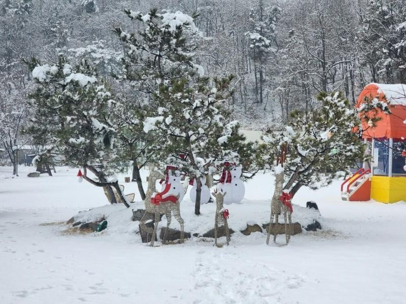 포천 더존카라반글램핑 (Pocheon The John Kara Ban Glamping)