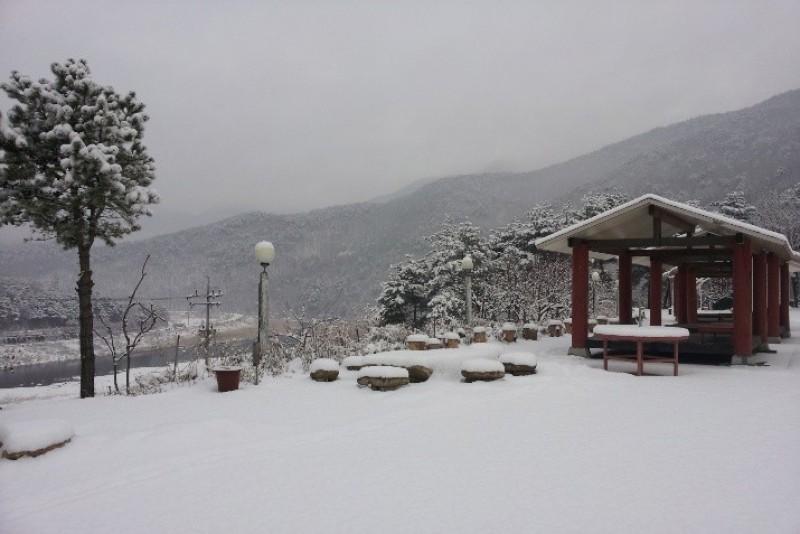 문경 가은에정원펜션 (Gaeun-e Garden Pension in Mungyeong)