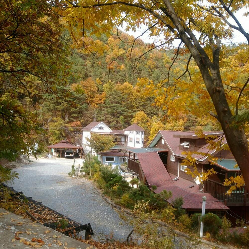 밀양 비타민 (Miryang Vitamins)