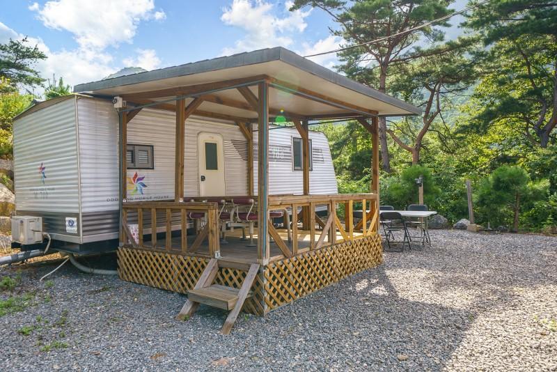 단양 파인카라반캠핑장 (Danyang Pine Caravan Camping)