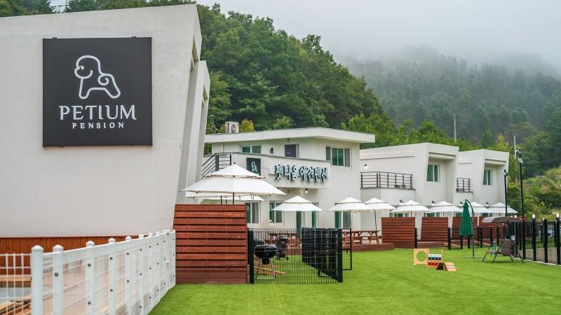 홍천 펫티움펜션 (Hongcheon Petium Pension)