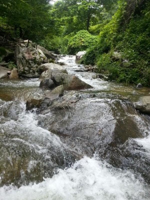강릉 오랍드리펜션 (Gangneung Orabdry Pension)
