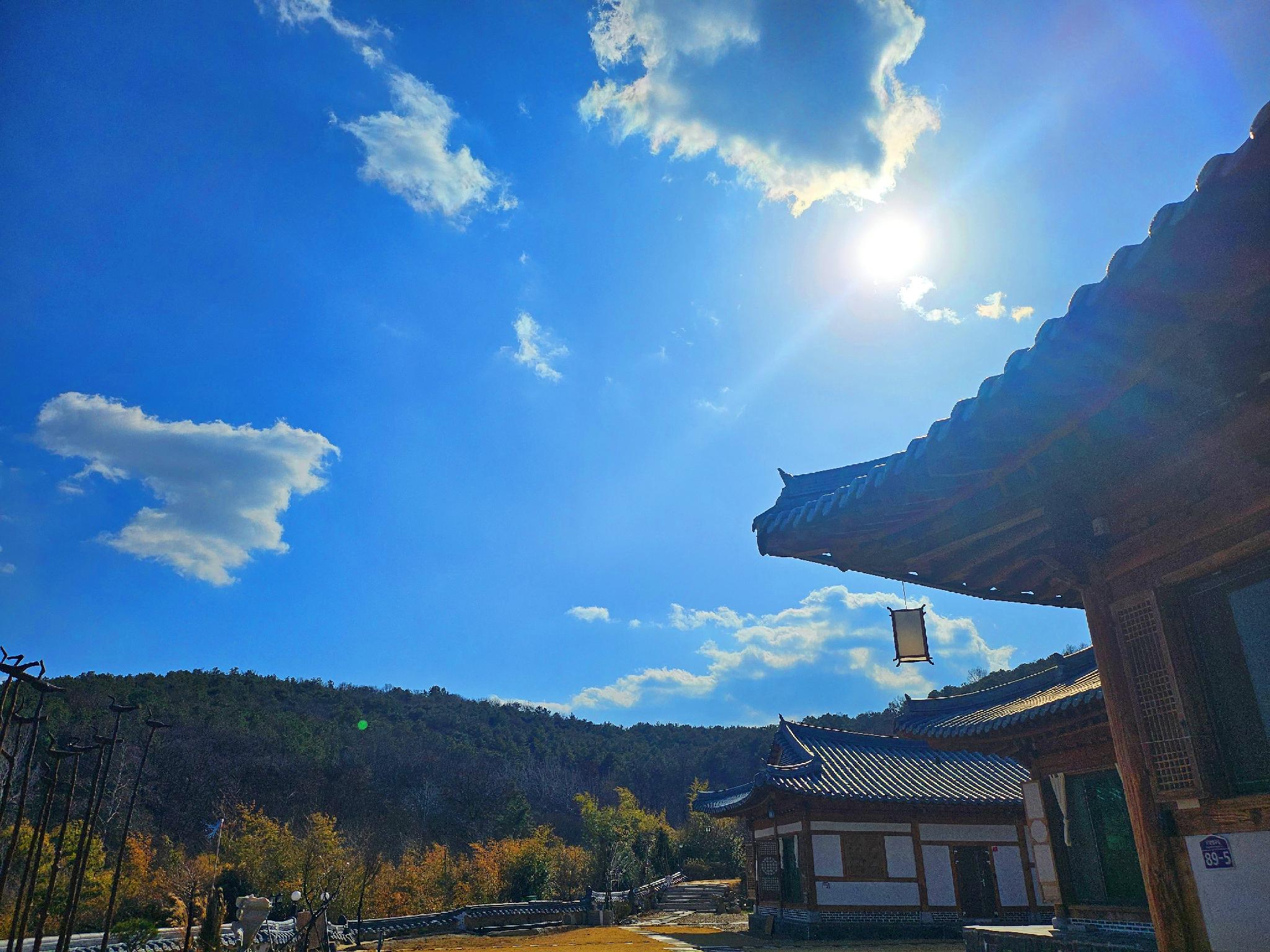 반포면의 프라이빗 하우스 (5000m², 침실 1개, 프라이빗 욕실 1개) (세종시에위치한 1500평대지에 웅장한외관과고급인테리어,탁트인시원한뷰까지휴식과힐링의최적의장소)