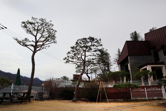 mungmungs pension