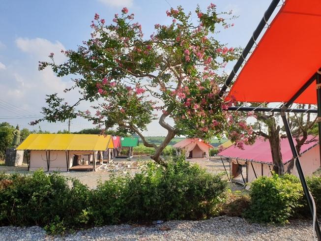 Deulsori Kids Glamping