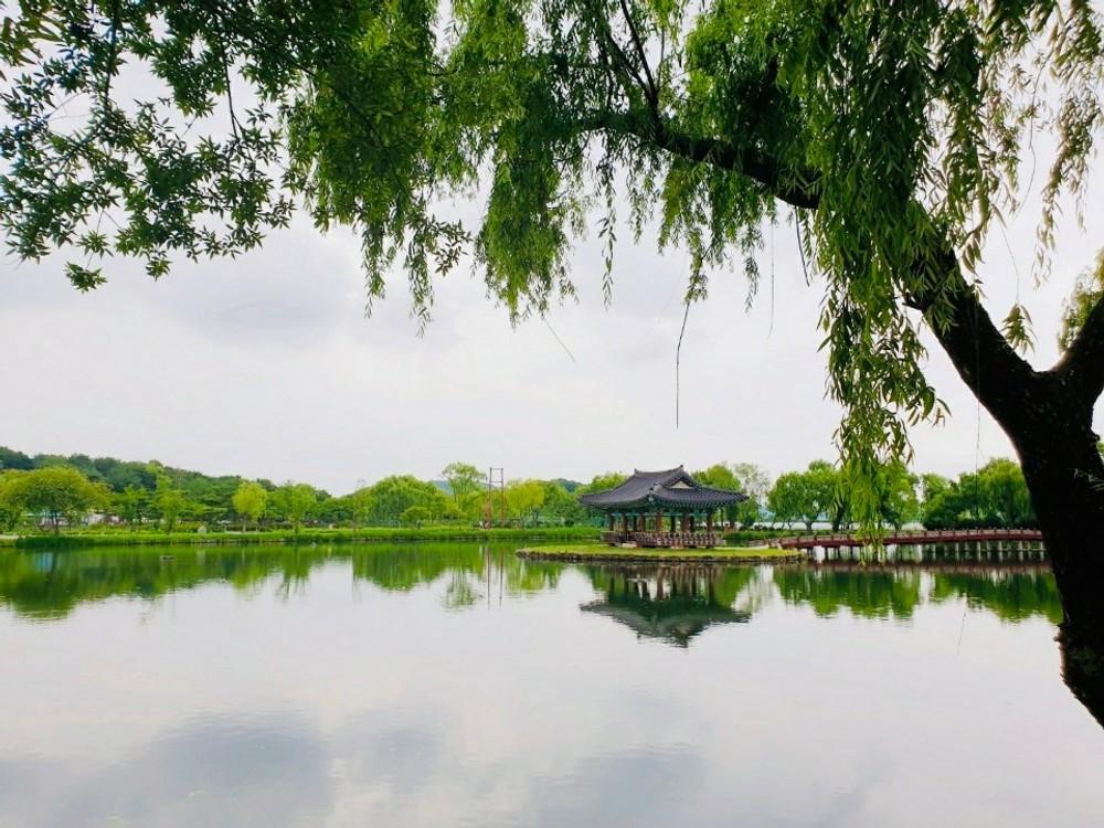 억새정원 펜션 (Buyeo Eoksae Jeongwon Pension)