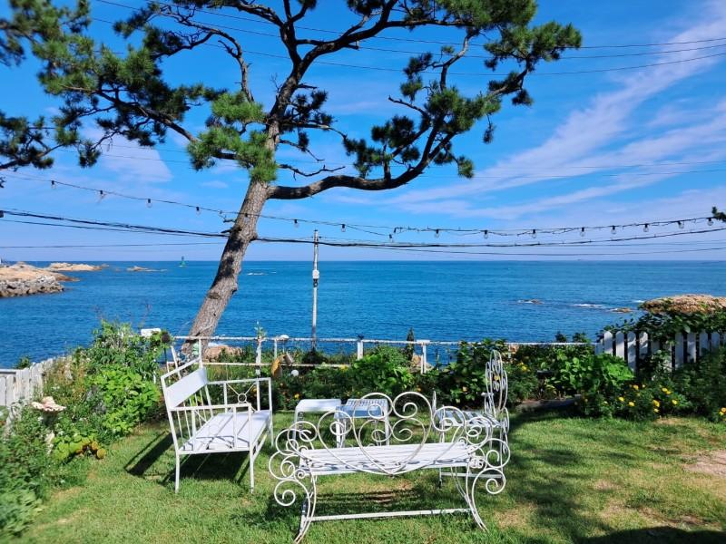 부산 고마펜션 (Busan Goma Pension)