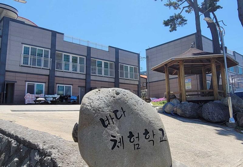 울릉 바다체험학교 (Ulleung Sea Experience School)