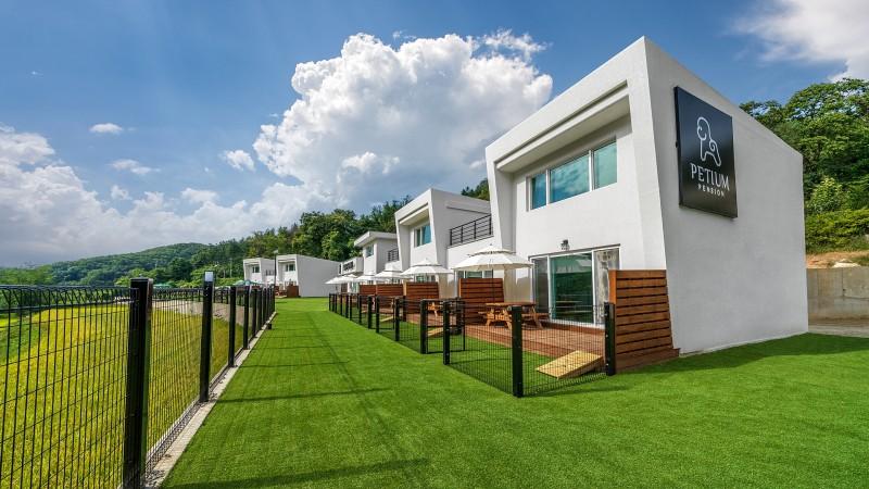 홍천 펫티움펜션 (Hongcheon Petium Pension)