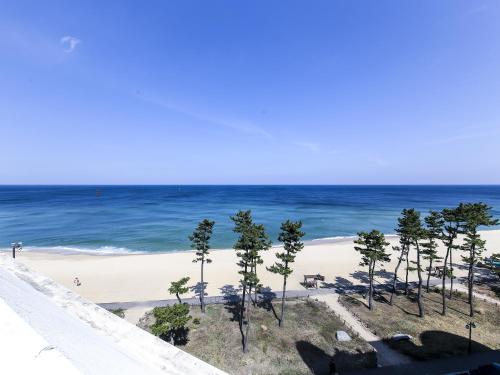 경포 수 호텔 (Gyeongpo Soo Hotel)