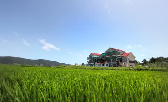 Lee House Pension
