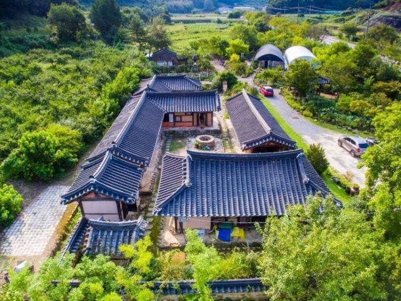 충주 야생화와고택나들이펜션 (Chungju. Real flowers and Taeknadeuli Pension)