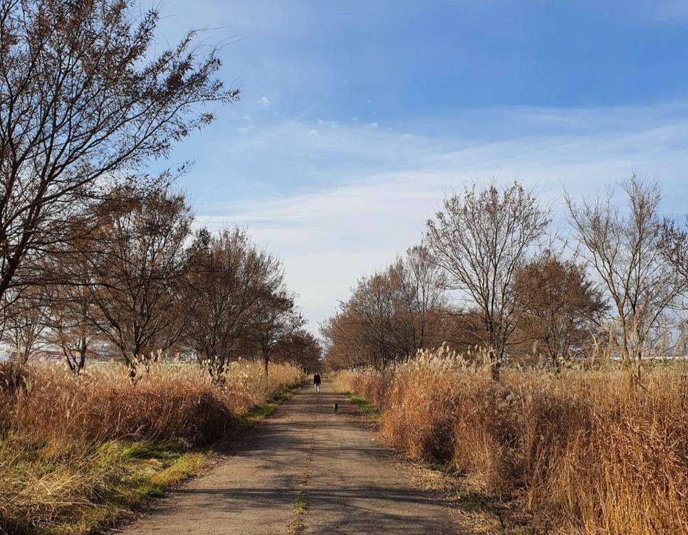 억새정원 펜션 (Buyeo Eoksae Jeongwon Pension)