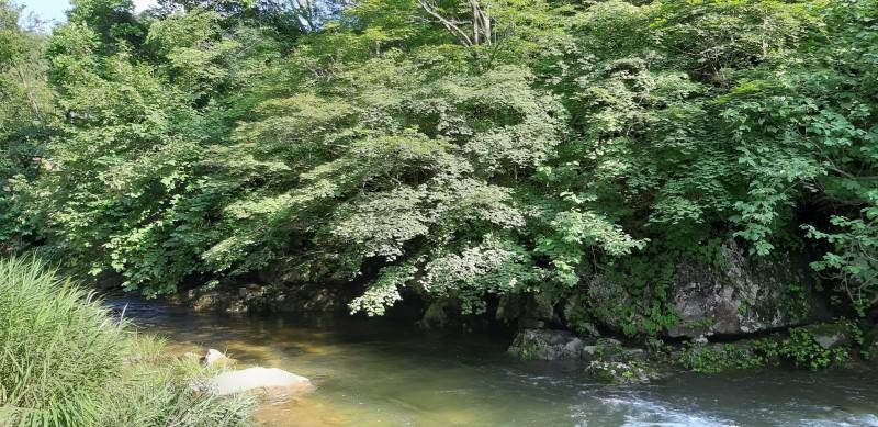 인제 구들하우스펜션 (Inje Gudeul House Pension)