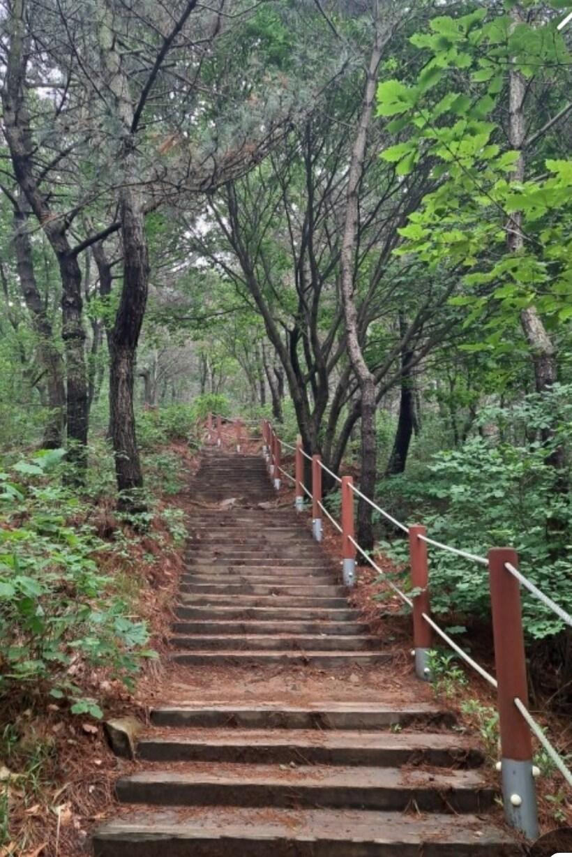 인천국제공항의 프라이빗 하우스 (100m², 침실 3개, 프라이빗 욕실 2개) (그린필하우스)