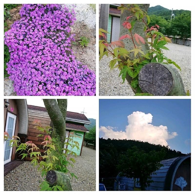 천안 성거호수펜션 (Cheonan Seonggeohosu Pension)