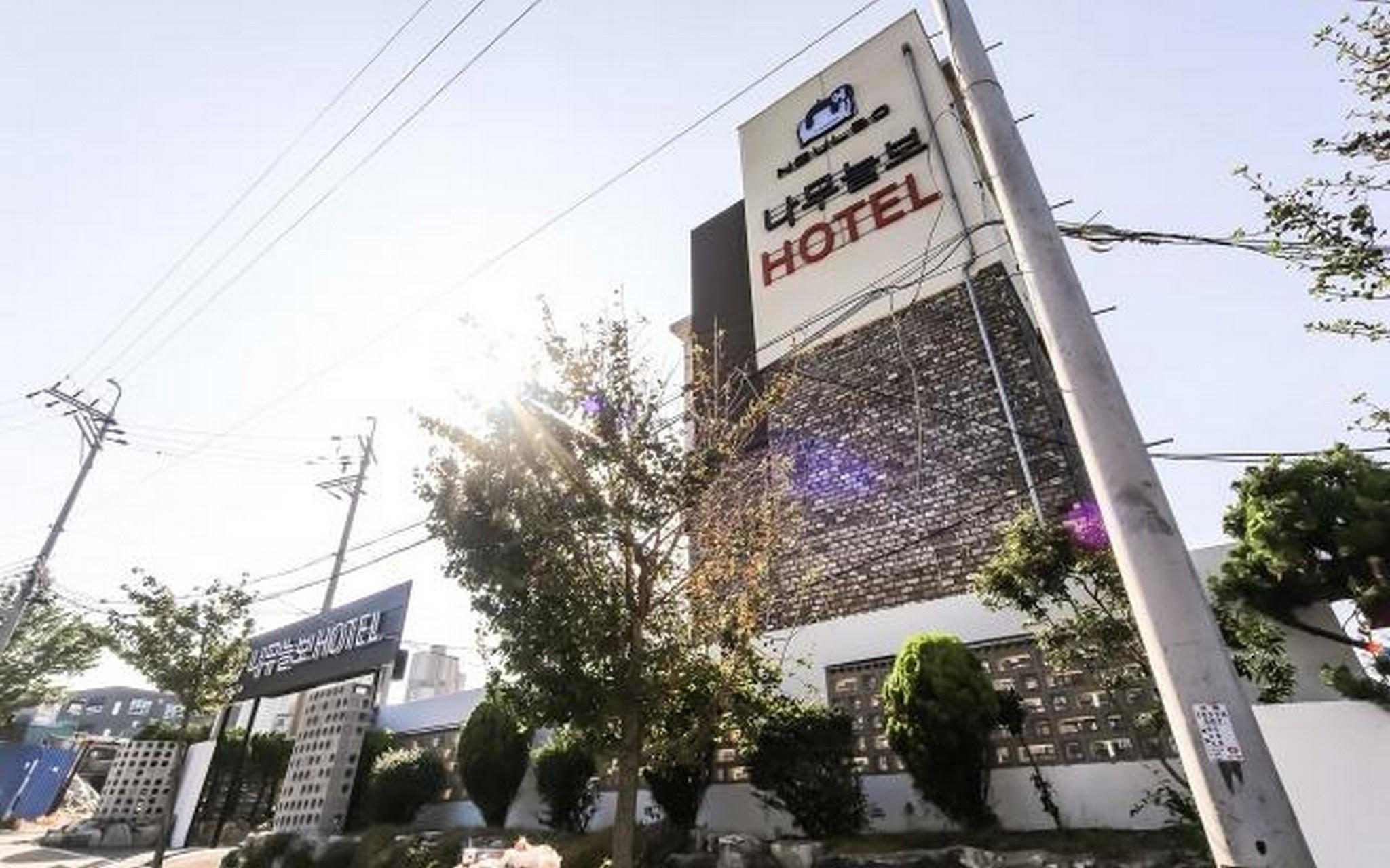 울산 일산 나무늘보 (Ulsan Ilsan Namuneulbo)