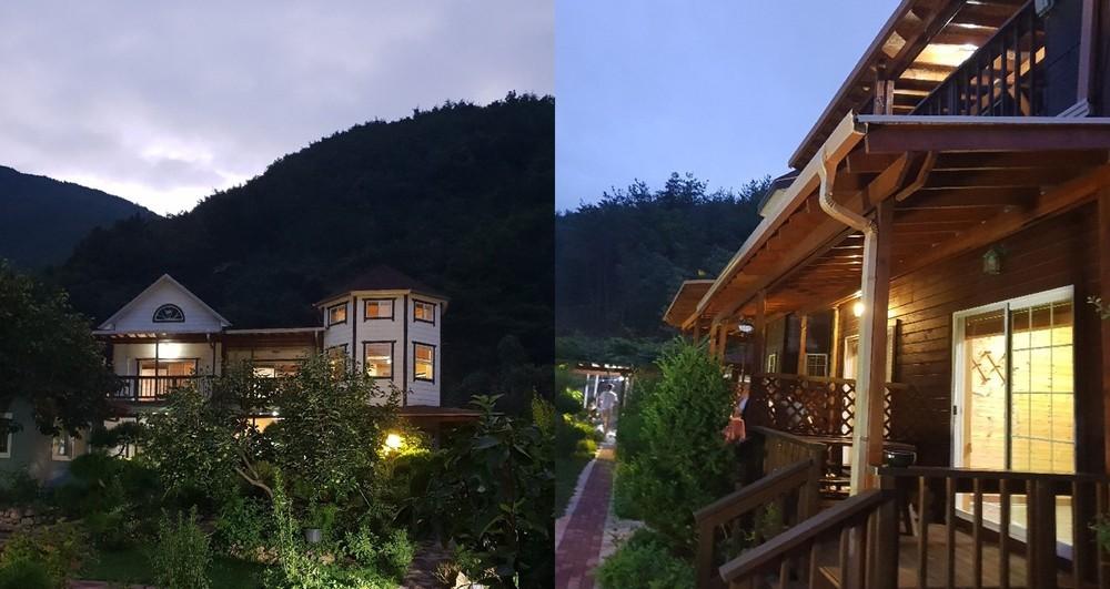 밀양 비타민 (Miryang Vitamins)