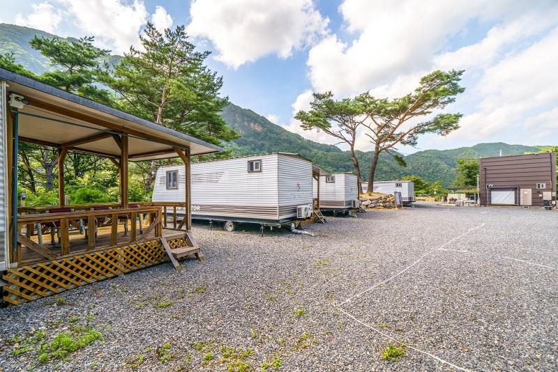 단양 파인카라반캠핑장 (Danyang Pine Caravan Camping)