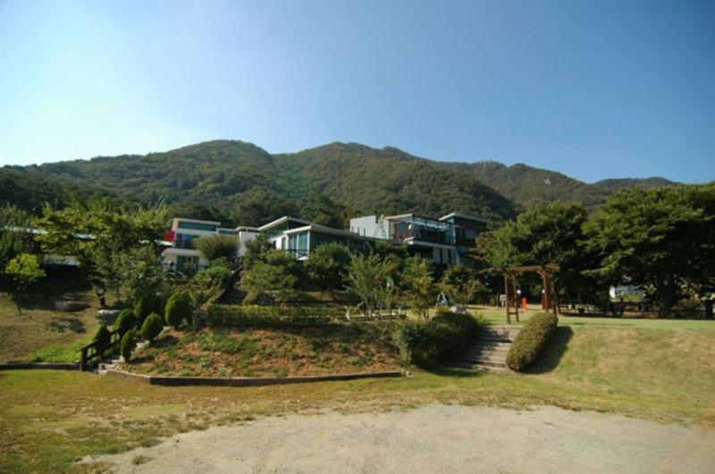 양평 더큰나무펜션 (Yangpyeong The Big Tree Pension)