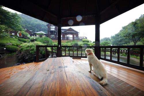 시실리 펜션 (Sisilli Pension)
