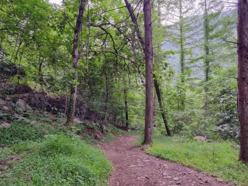 평창 뇌운계곡글램핑 (Pyeongchang Noeun Valley glamping)