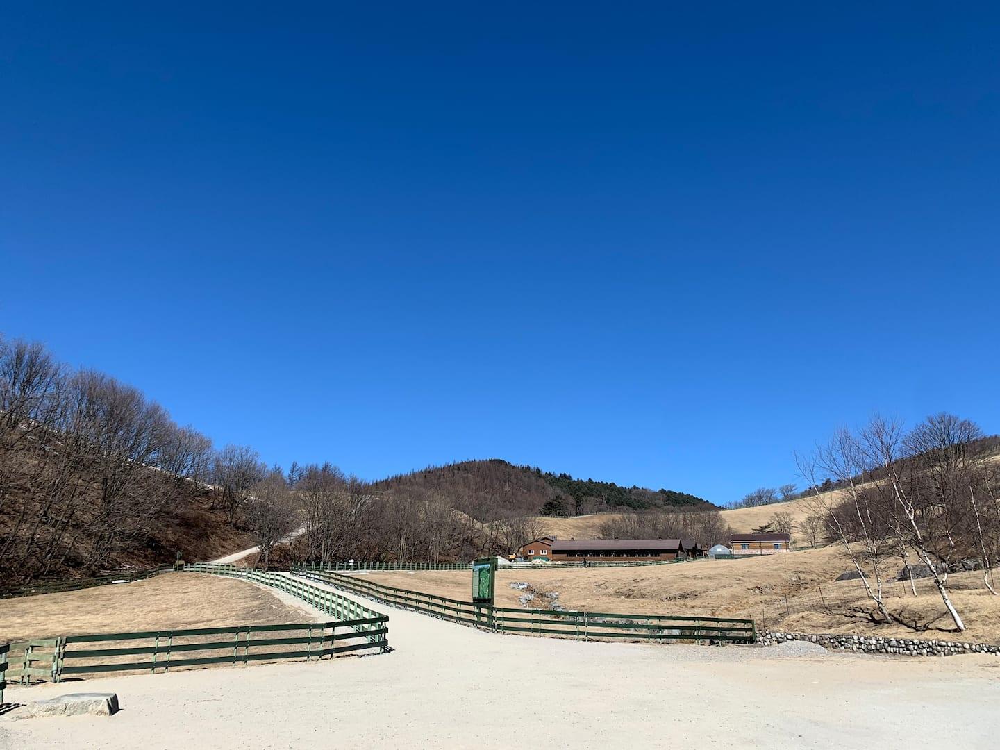 대관령면의 프라이빗 하우스 (40m², 침실 1개, 프라이빗 욕실 1개) (HealingPension near Alpensia and Yongpyeong Resort)
