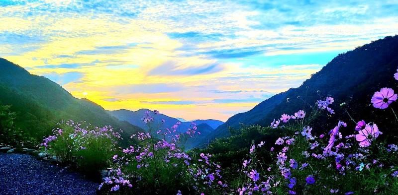 단양 몽벨리펜션(소백산입구) (Danyang Montbeli Pension (Sobaeksan Mountain Entrance))