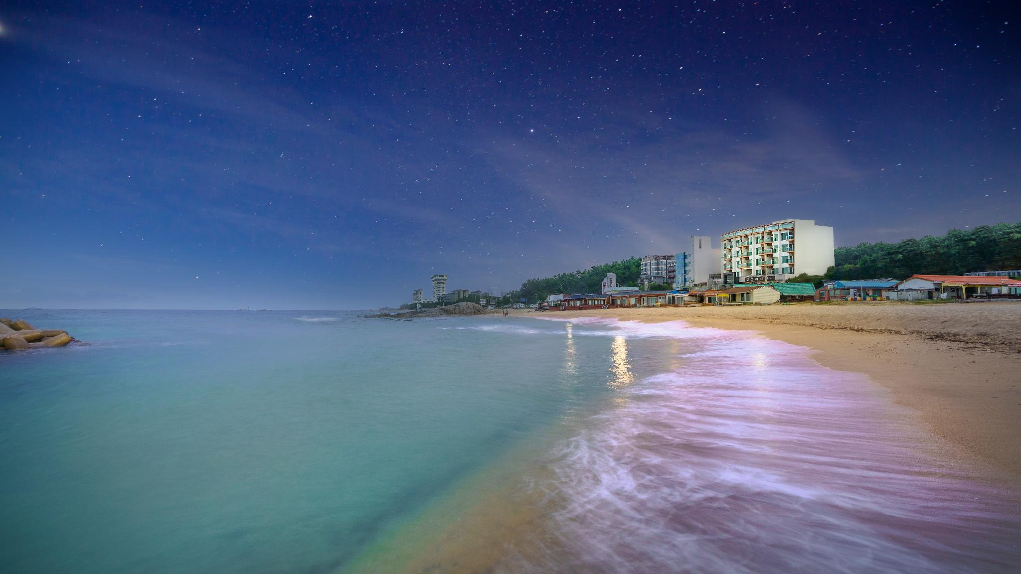 강릉 포시즌 호텔 앤 펜션 (Gangneung Four Season Hotel and Pension)